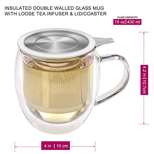 Double-Wall Glass Mug with Stainless Steel Infuser