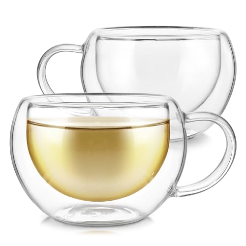 Teabloom Double-Walled Insulated Glass Cup Set