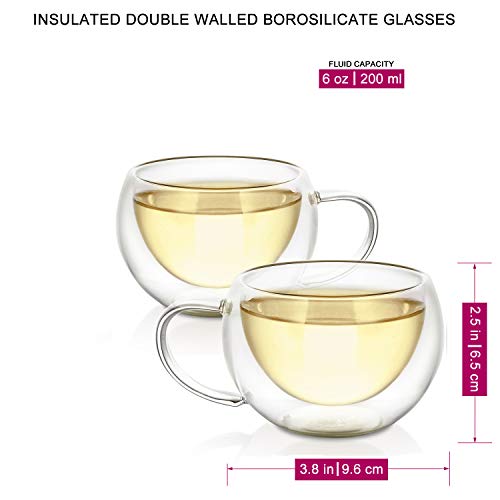 Teabloom Double-Walled Insulated Glass Cup Set
