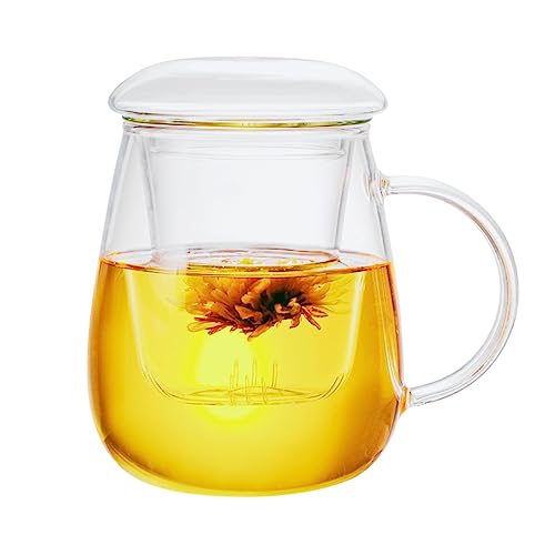 Borosilicate Glass Tea Cup with Infuser Lid