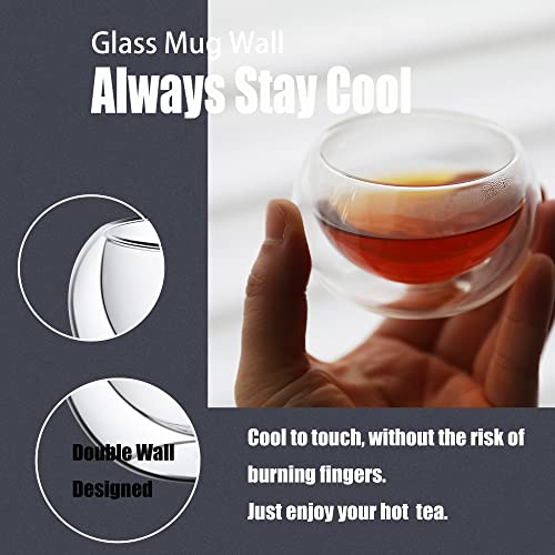 PunPun Double Wall Borosilicate Glass Tea Cups Set