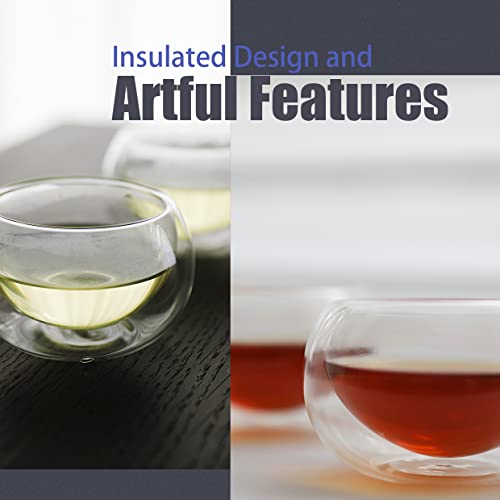 PunPun Double Wall Borosilicate Glass Tea Cups Set