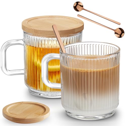 Mfacoy Set of 2 Glass Coffee Mugs
