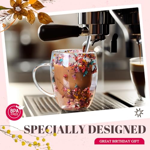 Stylish Double Wall Glass Coffee Mug Set