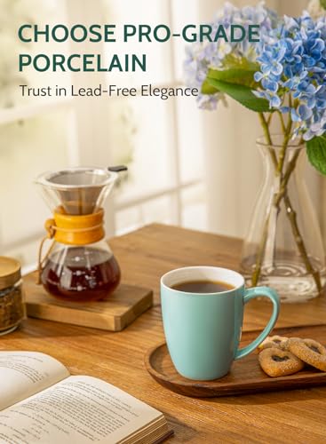 Sweese Multicolor Porcelain Coffee Mug Set, 6 Pieces