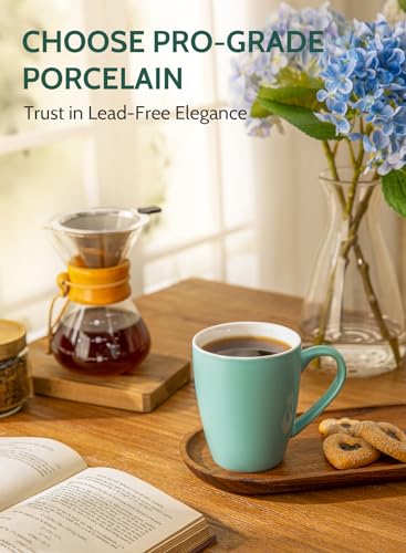 Colorful Porcelain Coffee Mugs Set of 6