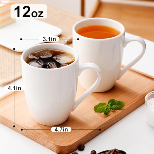 PARACITY Porcelain Coffee Mugs Set of Two