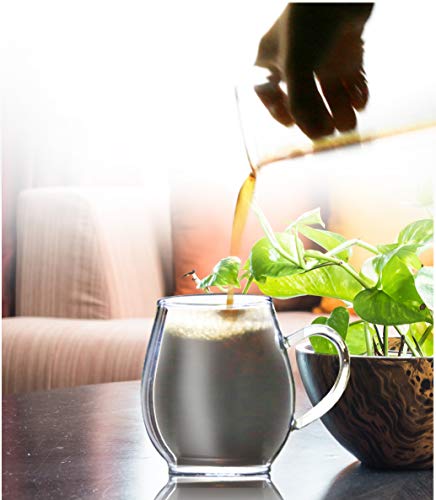 Elegant Clear Borosilicate Glass Tea Mug
