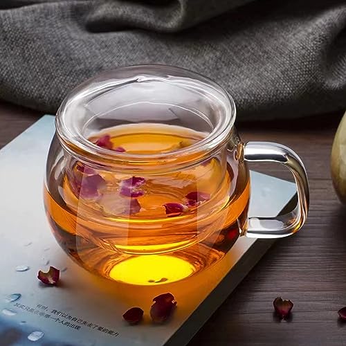 Clear Borosilicate Tea Cup with Steeper and Lid