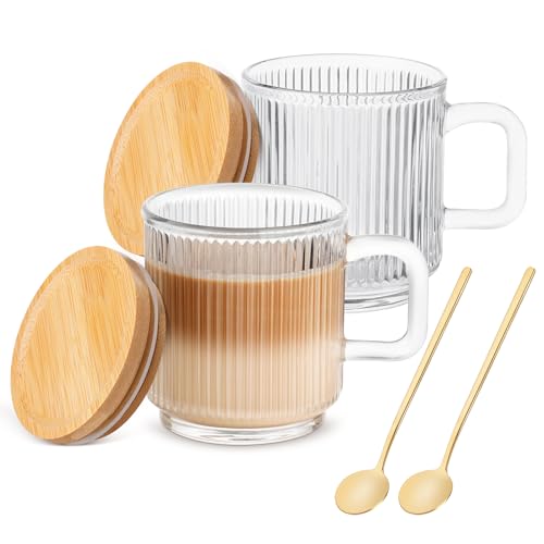 Glass Coffee Mugs, 11oz Glass Coffee Cups with Bamboo Lids and Spoon, Clear Coffee Cups Set of 2, Espresso Cups for Coffee Bar Accessories, Cute Ribbed Glassware Set for Latte, Cappuccino, Tea, Gift