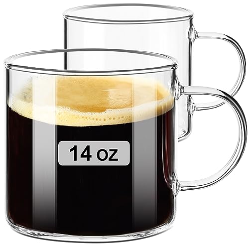 PARACITY Set of 2 Clear Glass Coffee Mugs