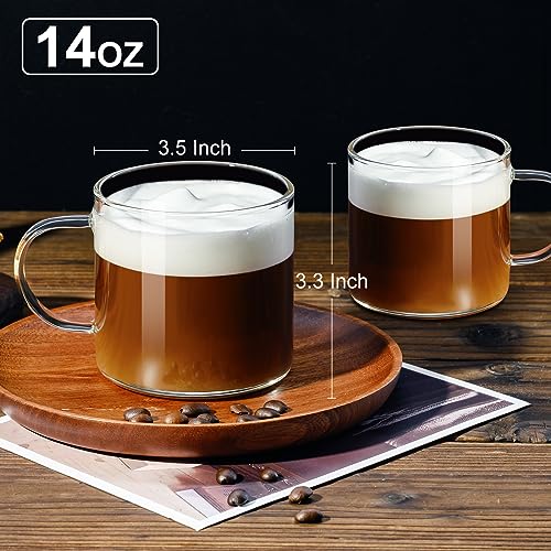 PARACITY Set of 2 Clear Glass Coffee Mugs