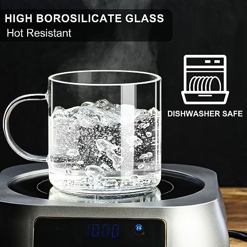 PARACITY Set of 2 Clear Glass Coffee Mugs