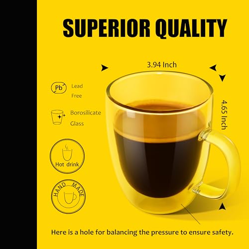 Double-Walled Clear Glass Coffee Mug Set of 2