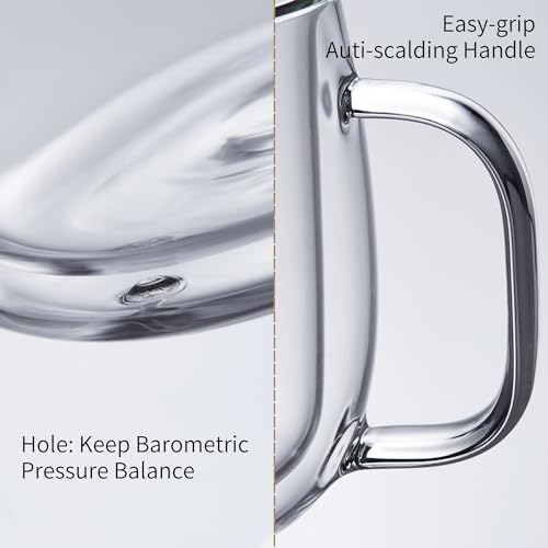 Unbreakable Double Walled Glass Coffee Mugs 10 fl oz, Microwave & Refrigerator Safe, Borosilicate Glass Insulated Coffee Mugs Set of 2 for Espresso, Cappuccino, Latte, Americano, Tea, Beverage