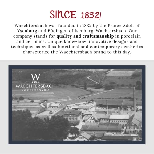 Könitz Waechtersbach Picasso Collection Bone China Coffee Mugs – Dora Maar Coffee Mug – Dishwasher & Microwave Safe Cute Mugs – Handmade Tea Mug – Memorable Coffee Gifts for Artists