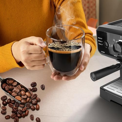 Double Wall Glass Coffee Mugs - 17 Oz Clear Coffee Mug Set of 4 Double Insulated Glass Coffee Mug With Lid Borosilicate Glass Cups Cappuccino Latte Espresso Tea Cups Dishwasher & Microwave Safe