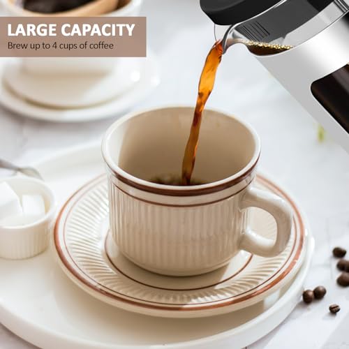 RAINBEAN 21 Oz Small French Press Coffee Maker 2 Cups, Coffee Press With 3 Filterations, Heat Resistant Thickness Borosilicate Glass, Coffee Brewer Tea Press, Perfect for Tea, Coffee Lovers