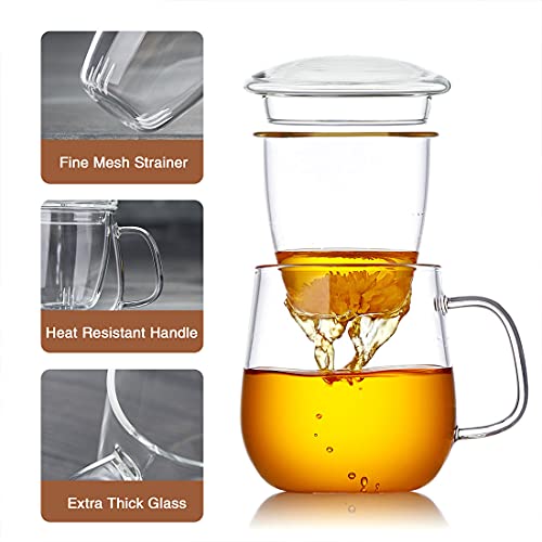 Borosilicate Glass Tea Cup with Infuser and Lid