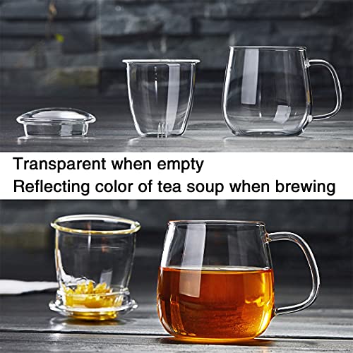 Borosilicate Glass Tea Cup with Infuser and Lid