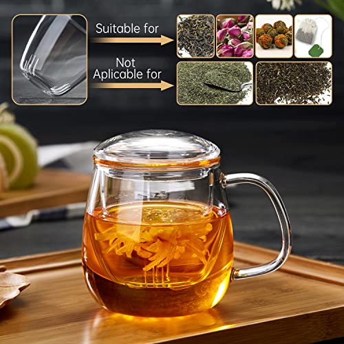 Borosilicate Glass Tea Cup with Infuser and Lid