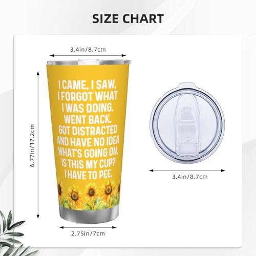 Adimidy I Came I Saw I Forgot What I Was Doing Tumbler Coffee Tumbler 20 oz Tumbler with Lid and Straw Insulated Tumbler Stainless Steel Tumbler