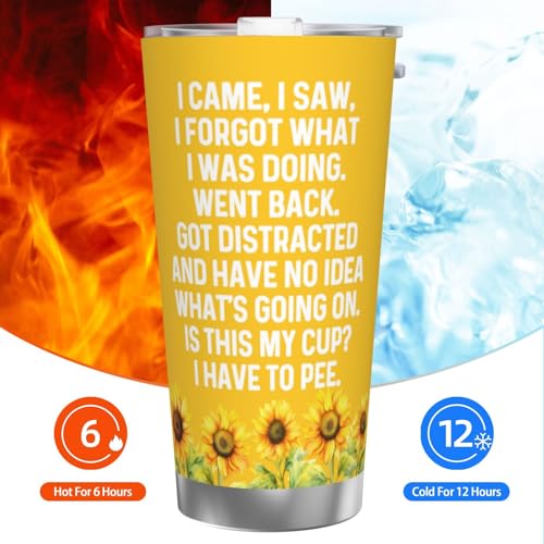 Adimidy I Came I Saw I Forgot What I Was Doing Tumbler Coffee Tumbler 20 oz Tumbler with Lid and Straw Insulated Tumbler Stainless Steel Tumbler