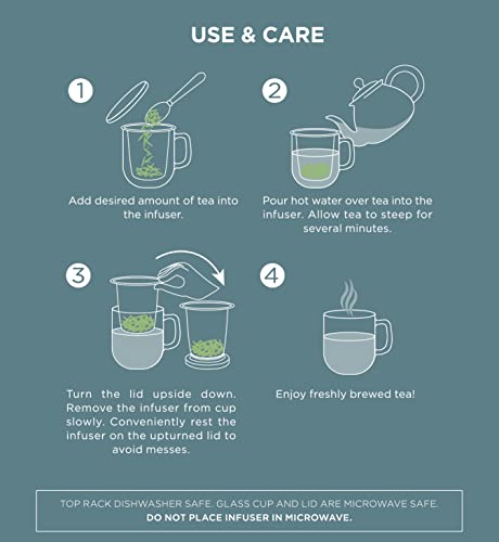 Teabloom Tea-For-One Steeping Mug – Insulated Double Wall Glass Mug (12 oz), Stainless Steel Infuser, Porcelain Lid/Coaster – Radiance Brewing Mug