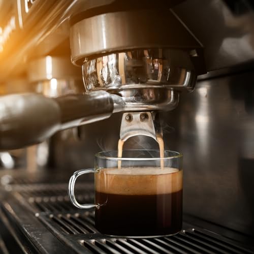 Dorsaer 6oz Crystal Clear Glass Cups - Set of 2