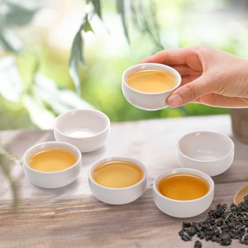 Foraineam Handcrafted Japanese Tea Cup Set of 12
