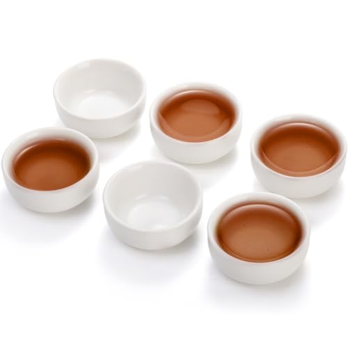 Foraineam Handcrafted Japanese Tea Cup Set of 12