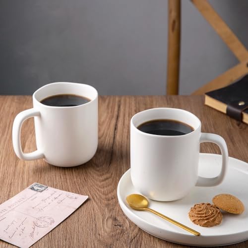 AmorArc 14oz Speckled Ceramic Coffee Mugs Set