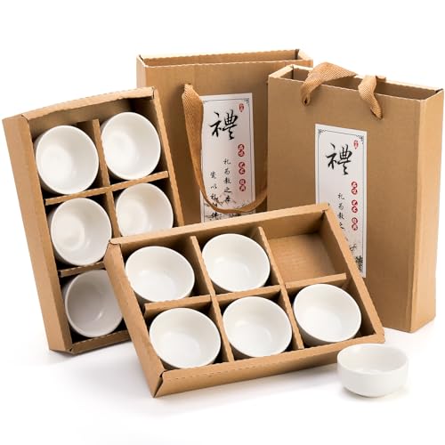 Foraineam Handcrafted Japanese Tea Cup Set of 12