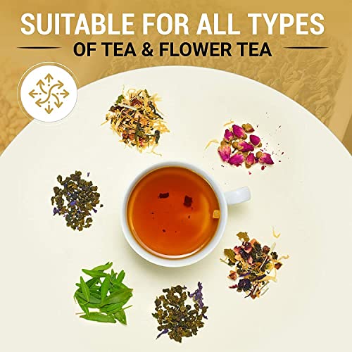 Modern Glass Tea Infuser with Cork Lid and Spoon