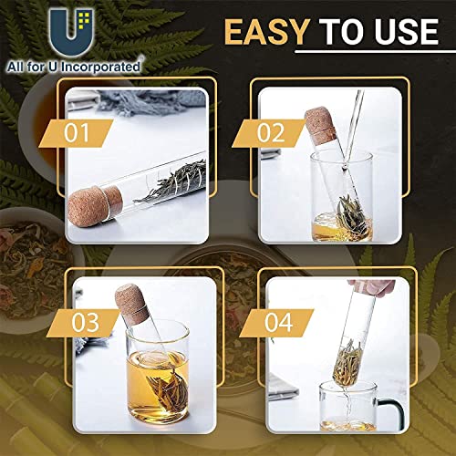 Modern Glass Tea Infuser with Cork Lid and Spoon