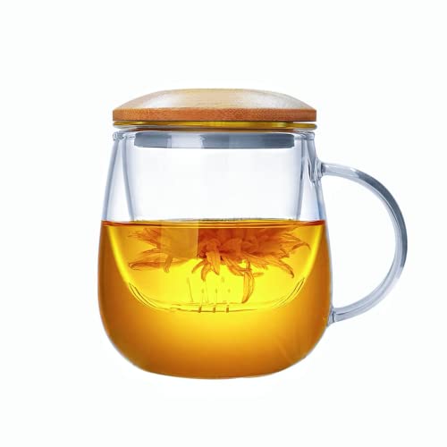 Borosilicate Glass Tea Cup with Infuser and Lid