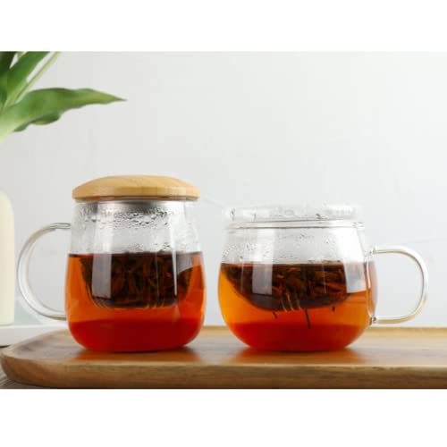 Borosilicate Glass Tea Cup with Infuser and Lid