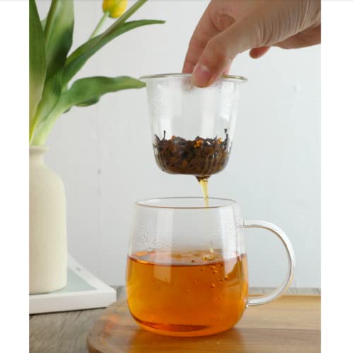 Borosilicate Glass Tea Cup with Infuser and Lid