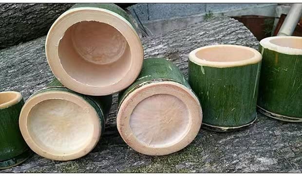 Bamboo Wood Tea and Coffee Mug Set