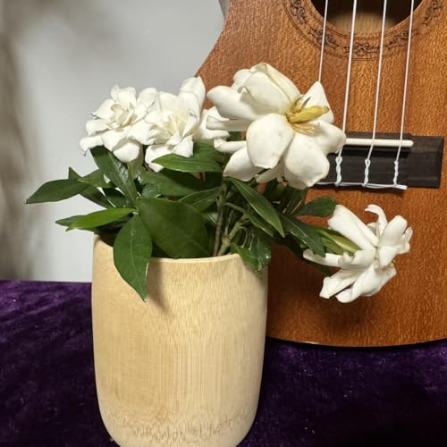 Bamboo Wood Tea and Coffee Mug Set