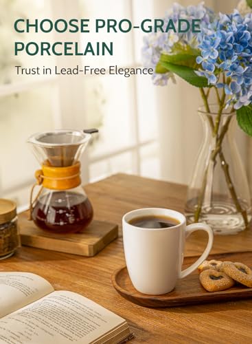 Sweese 12 oz Porcelain Mug Set - 6 Pieces