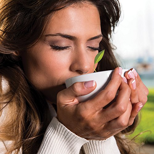 Porcelain Tea Forte Cafe Cup with Lid