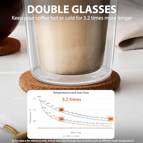 Double Walled Glass Mugs with Silicone Lids