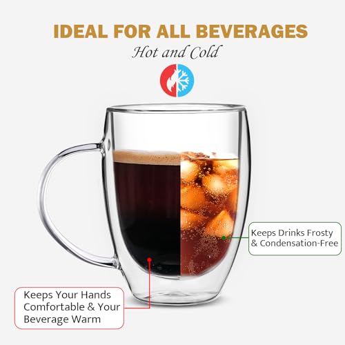 Double Wall Glass Coffee Mugs - Set of 2