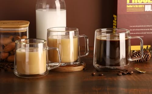Double Wall Insulated Glass Coffee Mugs Set
