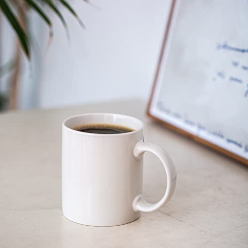 Off-White Ceramic Coffee Mugs Set of 12