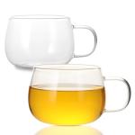 Set of 2 Clear Borosilicate Glass Tea Cups