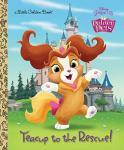 Disney Princess Palace Pets Teacup Adventure Book