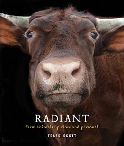 Farm Animal Tea Cup: Close and Personal Design