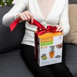 Kitchen Kite Glass Tea Cup with Stainless Steel Infuser and Lid - Microwave & Dishwasher Safe, 16oz Double Wall Tea Infuser Mug with Blooming, Loose Leaf Tea Sampler, Gift Set for Tea Lovers